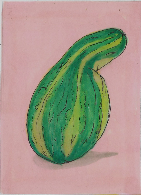 ACEO original art cards – 2.5″x3.5″ Gourd – alcohol marker and ink – OOAK