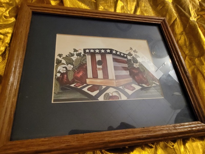 AMERICAN FLAG BIRD HOUSE FRAMED PAINTING PRINT 9×11 FRAMED ART USA Wall Hanging