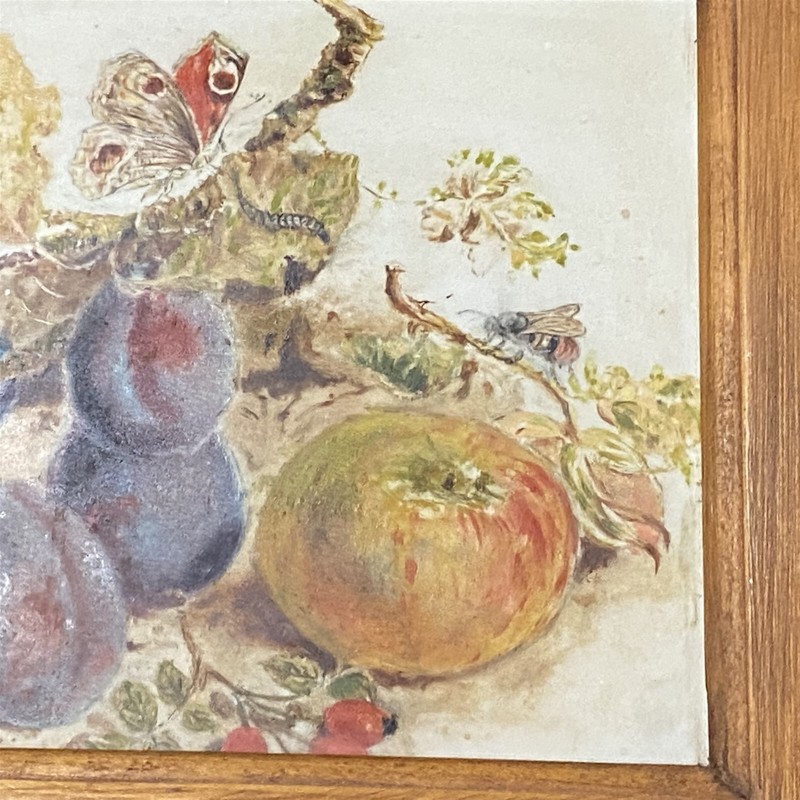 Vintage Glass Painted Fruit Still Life Framed 9 x 11 Butterfly bee gallery