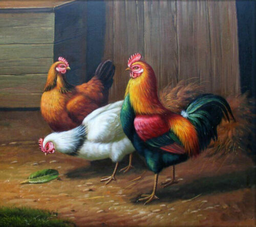 MQ28 Stretched Canvas Frame / Unframed Handmade Rooster Hens Eating Oil Painting