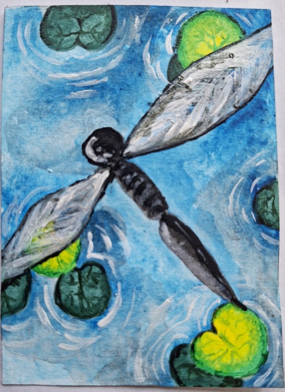 Dragonfly Original ACEO Art Card Painting Miniature Ooak Acrylic sri lanka