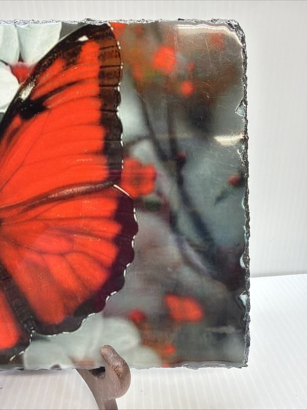 Red Butterfly Glossy Picture on Black Slate Wall Art 11.5"7.5" No Stand gallery