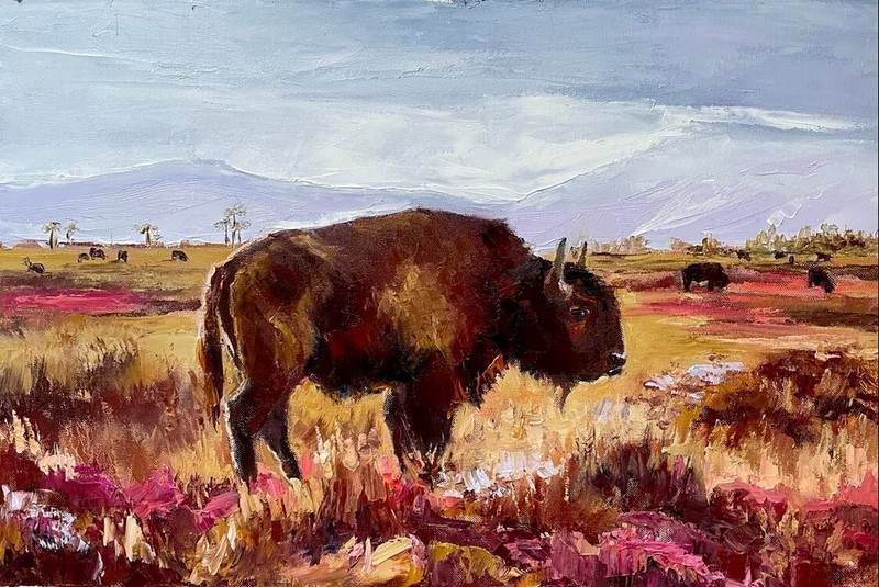 American bison Original oil painting Grand Teton national park Buffalo 16 x 24