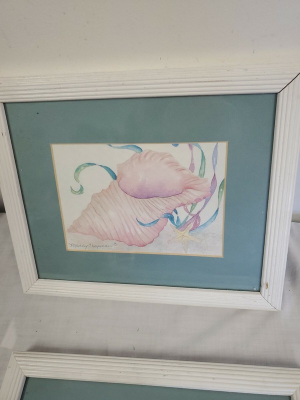 MARCY CHAPMAN SEALIFE FRAMED ART MATTED WATERCOLOR STAR FISH - CONCH SHELL gallery