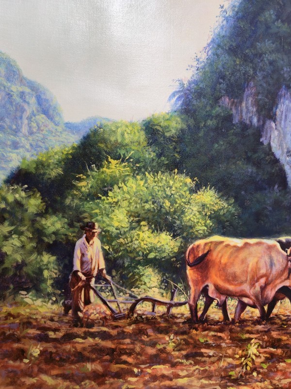 Original painting. Cuban rural landscape. Oil on canvas. 29.5 x 22 inches. gallery