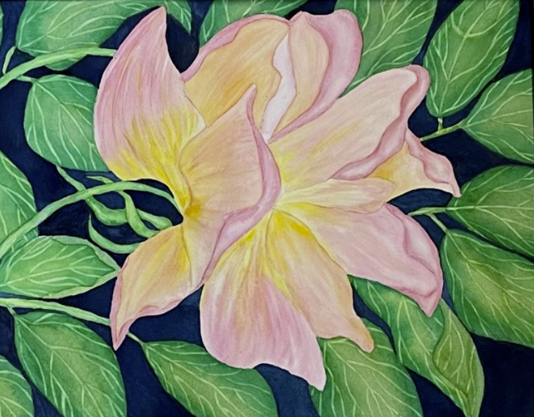 PAINTING WATERCOLOR 11X14 & MAT 16X20 FLOWER ROSE CORAL PINK ORANGE ORIGINAL ART