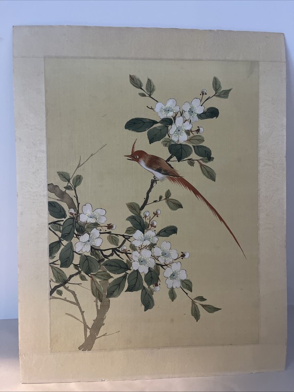 Japanese Painting Bird Flower Cherry Blossom Branch On Silk Watercolor 18×13”