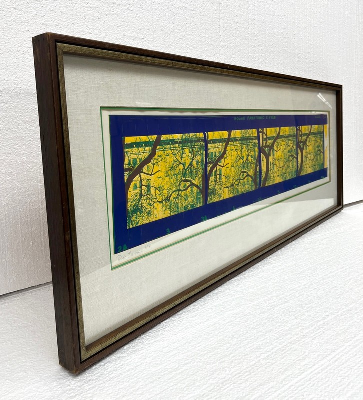 Rob Savage Signed Original Kodak Panatomic X Film Silkscreen Tree Painting #2/18 gallery