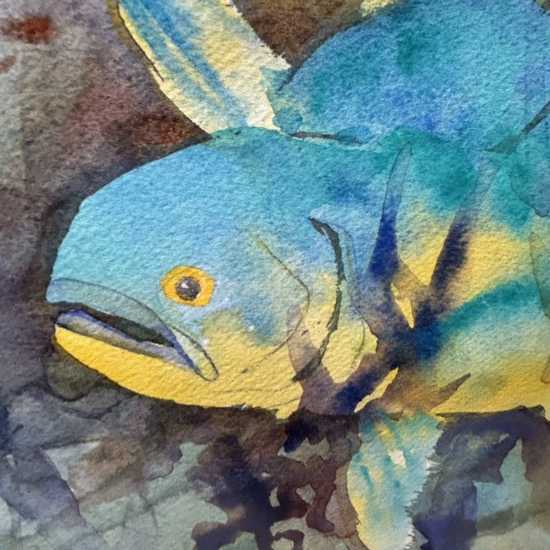 Gwen Garfall Original Watercolor Painting Dolphins Mahi-Mahi Fish Nautical Art gallery