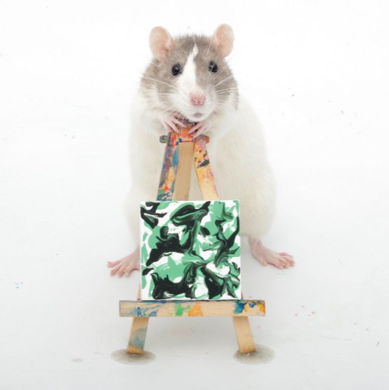 Mini Rat Paw Paintings, made by fancy pet rats (2×2 inch, colors vary)