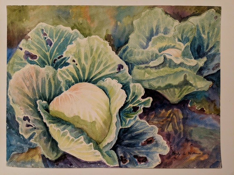Cabbage #6/Original Watecolor/20″x15″/Emily L Wittman, artist