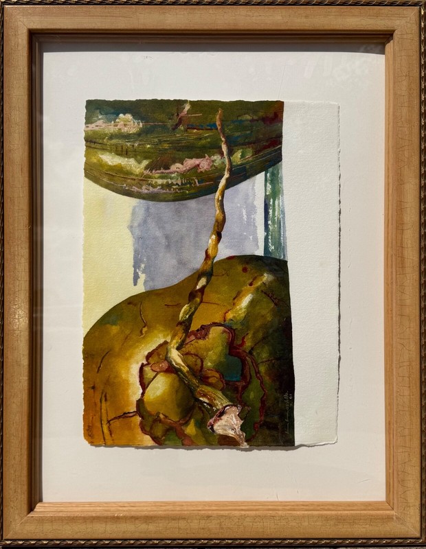 Gustavo Castillo Watercolor on Paper (Coconuts)