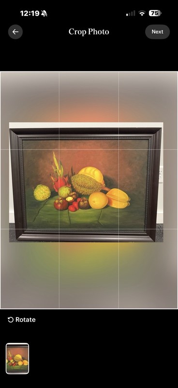 Framed Tropical Still Life Fruit Painting on Canvas, Fruit Theme