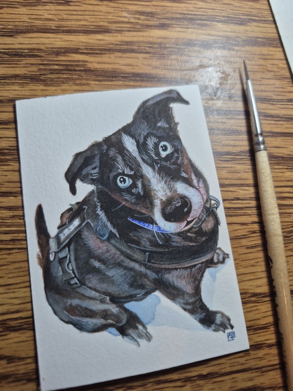 Aceo Pet Portrait Painting Personalized