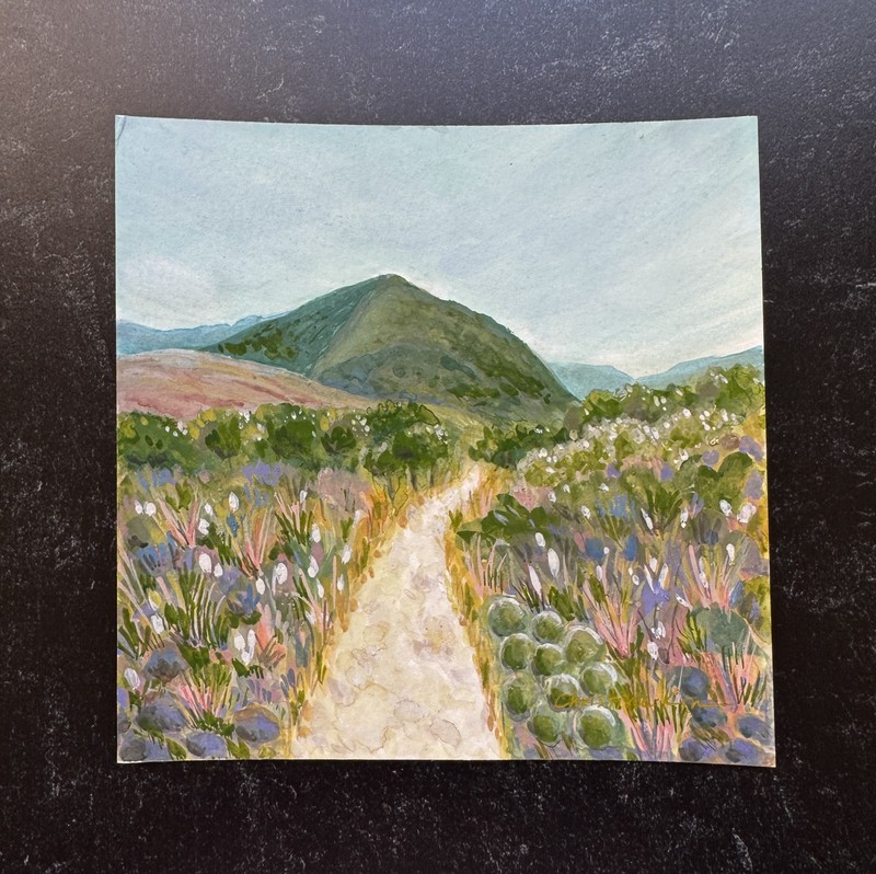 Original Landscape Painting Gouache 6 x 6 Mountains Guadalupe National Park Art gallery