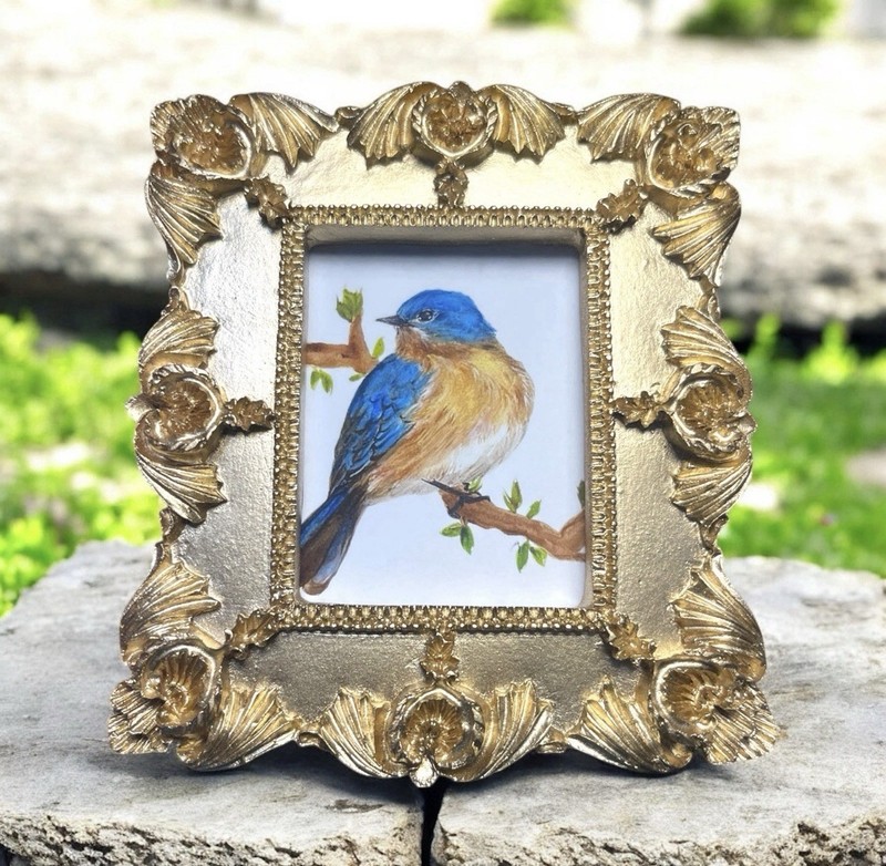 Eastern Bluebird mini art watercolor print in gold vintage style ornate frame gallery