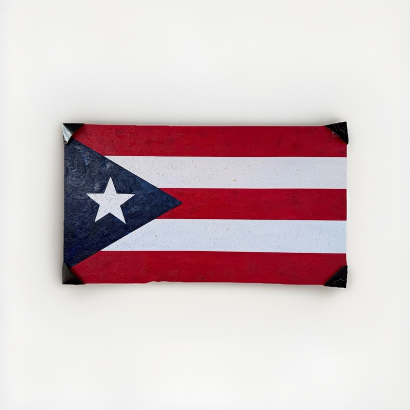 Roly Fernandez Puerto Rico Flag Original Oil on Canvas Signed 27×48