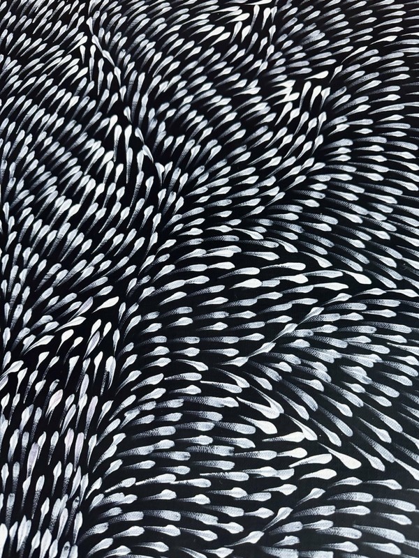 Roseanne Morton Petyar, Authentic Aboriginal Art.Size,110 x 60cm. Medicine Leaf gallery