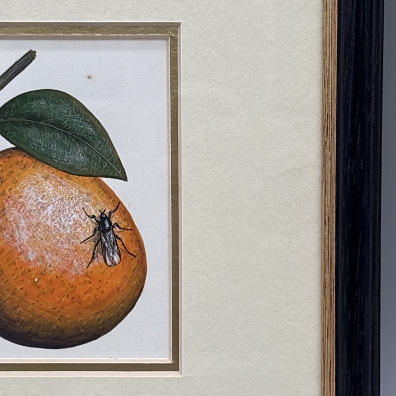 Bernard F Carter Original Watercolor Painting Orange Floral Birthday Book Jan 17 gallery