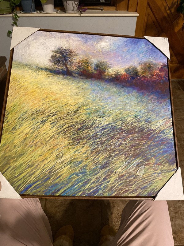 Nel Whatmore “Feathered Field” Framed Canvas Painting Art NEW
