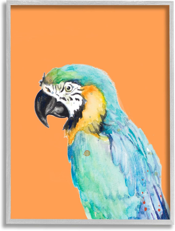 Tropical Macaw Parrot Portrait Bold Rainforest Bird Framed Wall Art, Design by P gallery