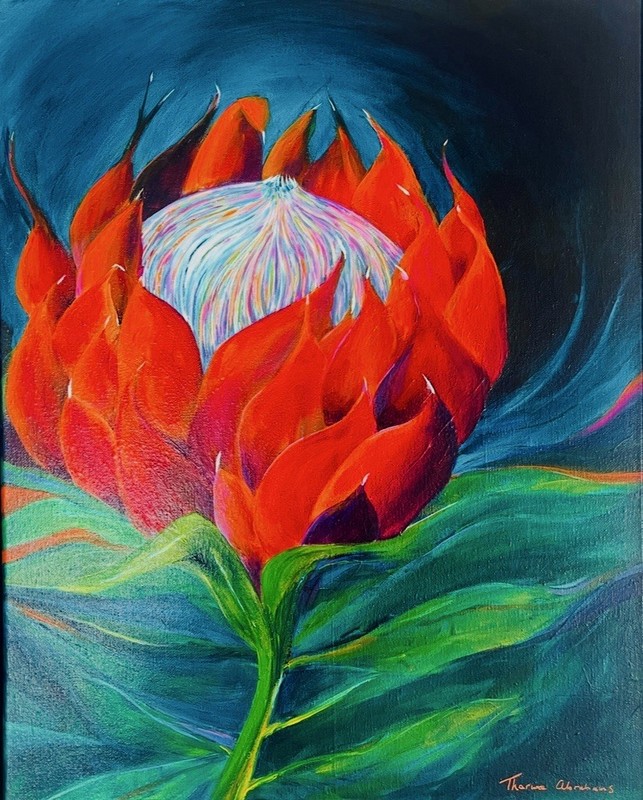 16×20 Protea Painting Acrylic South African Floral Framed Original Art