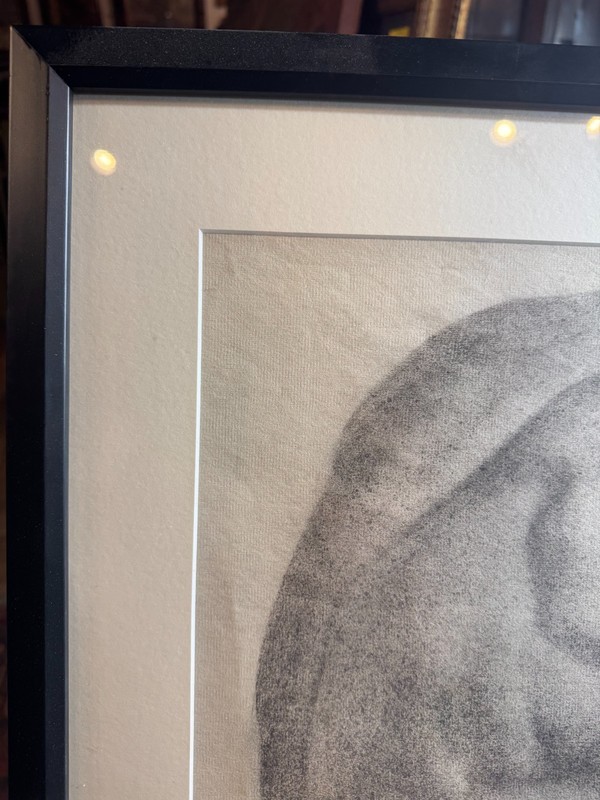 Baltimore School Original Charcoal Anatomical Torso Figure Study Framed Signed gallery