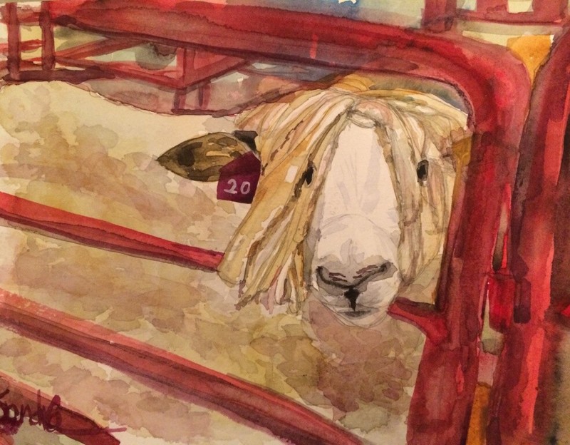 Fair Sheep : Signed LE Art Print: Sandra Watercolors™ California
