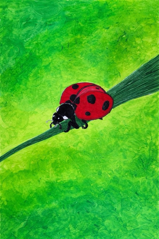 Original Colorful Mix Media Acrylic on Premium Paper – Signed by Artist