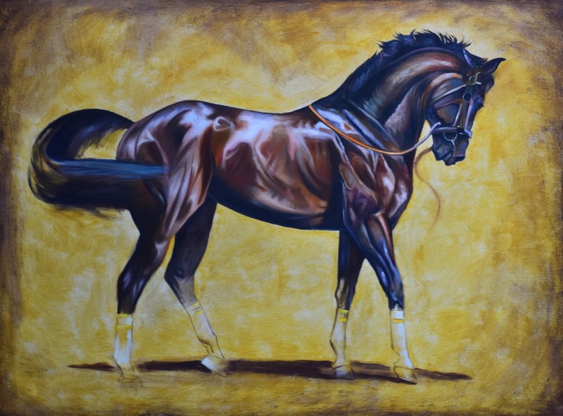 Horse | Handmade Painting | Cotton Canvas | Oil Color