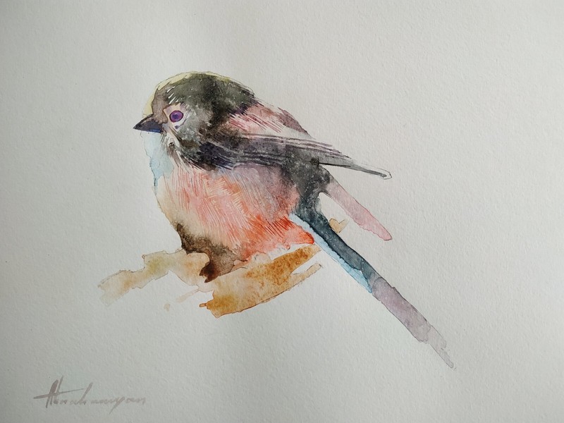 Tit, Birds, Watercolor artwork, Handmade, Original painting on paper