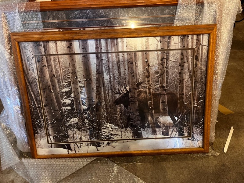 A Walk In The Woods by Stephen Lyman Photo/print