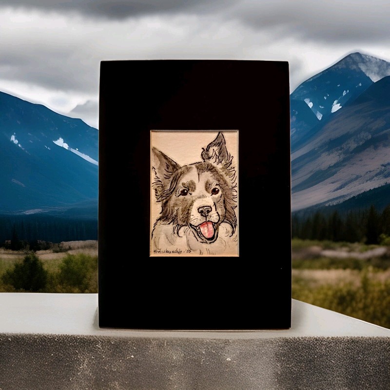 ACEO Original Watercolor Painting, Shetland Sheep Dog, by Herbie Hasbrouck Jr