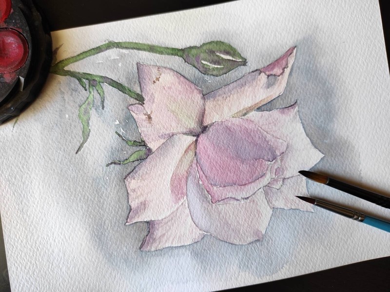 Original Artwork Modern Painting Landscape FLOWERS PINK ROSE Floral Arts Gift A5 gallery