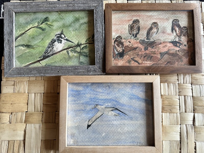 3 Handmade Wood Framed Hand Painted Bird Watercolor Artwork Original Paintings