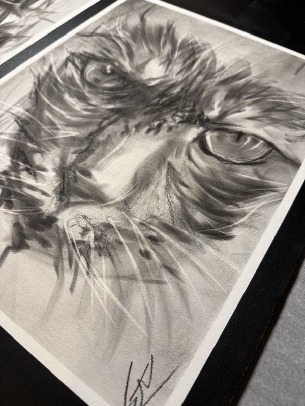 Tabby Cat Face Portrait 11x14 Pastel Drawing Expressionist Art gallery