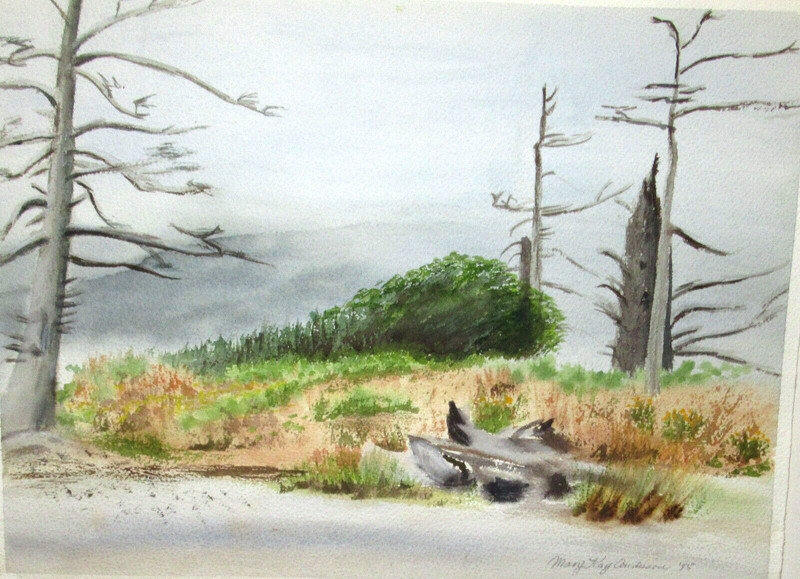 MARY KAY ANDERSON «CAPE LOOKOUT» N.C. ORIGINAL WATERCOLOR SEASCAPE PAINTING 1985