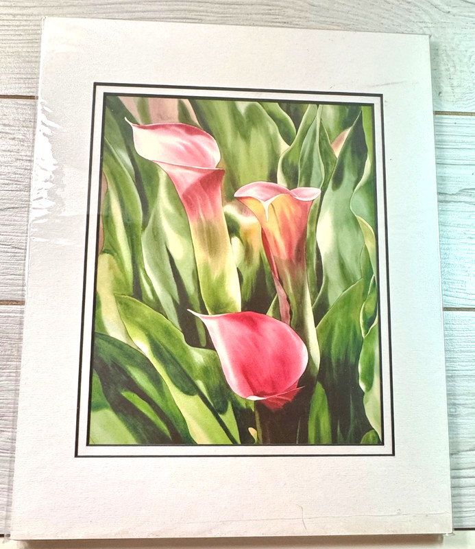 11″ X 14″ Matted Water Color Floral Print Art Diana Hsu Pink Calla Lily
