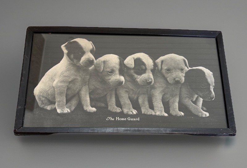 The Home Guard Chromolithograph Puppy’s Playing Early 20th Century