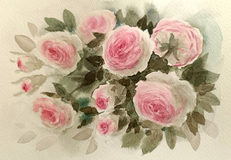 Flowers PINK ROSES Original Artworks Painting Floral Landscape Wall Art Gift A5