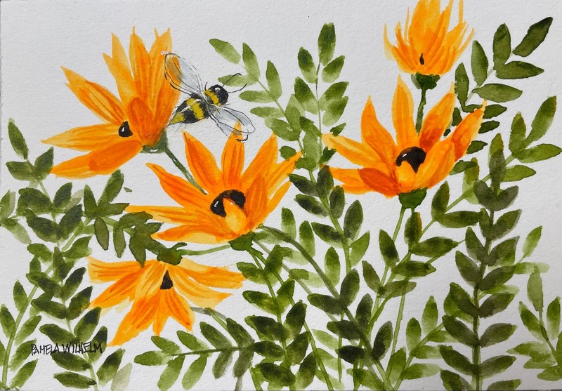 Pamela Wilhelm original 5×7 Watercolor Deep Orange Daisies Bumble Bee In Flight
