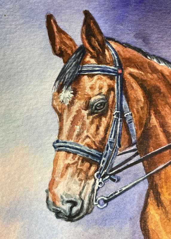 Watercolor Painting Brown Horse ACEO Art