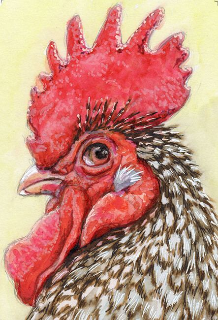 ACEO ORIGINAL Rooster glance back 22-0049 artist Svetlana Ledneva-Schukina