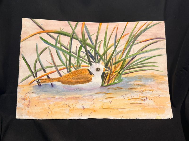 Original Shorebird Watercolor Beach Scene 15×10