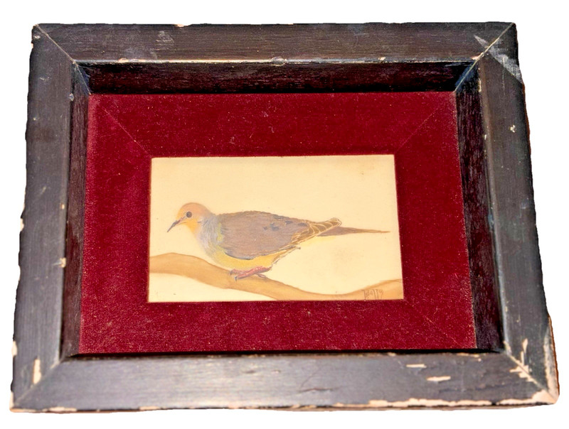 «Mourning Dove» 1969 by Helen Dewerd Houston Texas 2.5×4 Framed Bird Watercolor