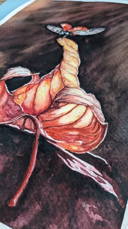 Autumn Orange Leaf & Ladybug Watercolor Painting Seasonal Fall Flying Insect Art gallery