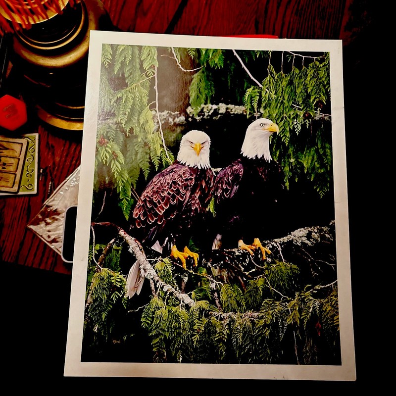 Eagles Jackie And Shadow Print Art Original Signed by Artist Big Bear Lake