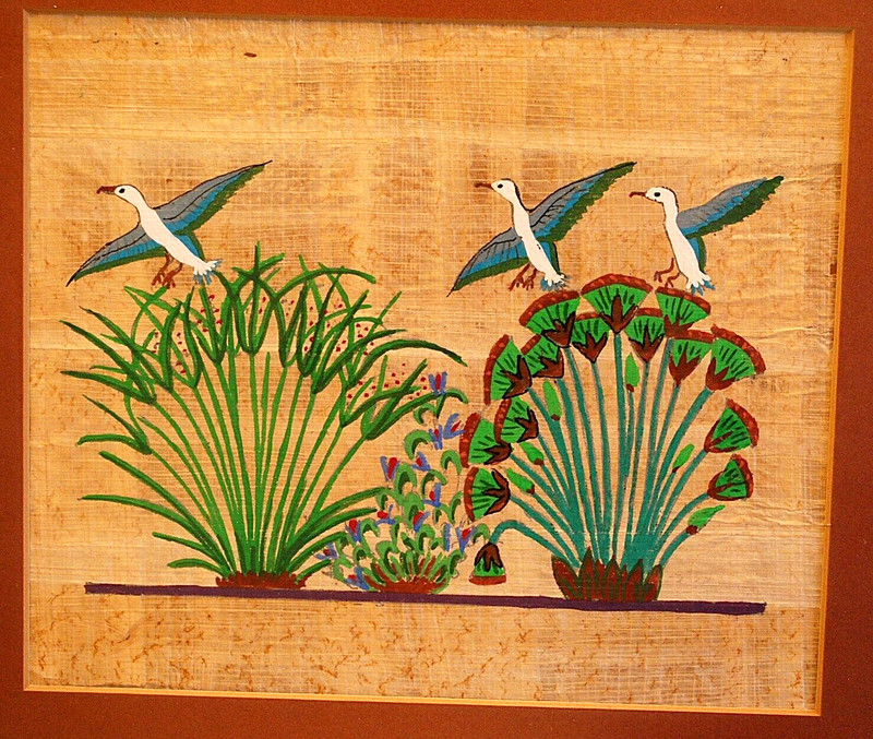 Vtg Framed EGYPTIAN PAPYRUS ART Hand Painted BIRDS & PLANTS Framed/Glass c1978 gallery