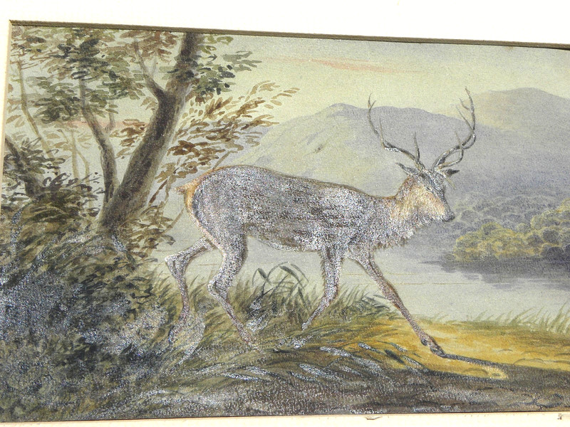 Newton Fielding 1799-1856 antique English watercolor painting of a stag gallery