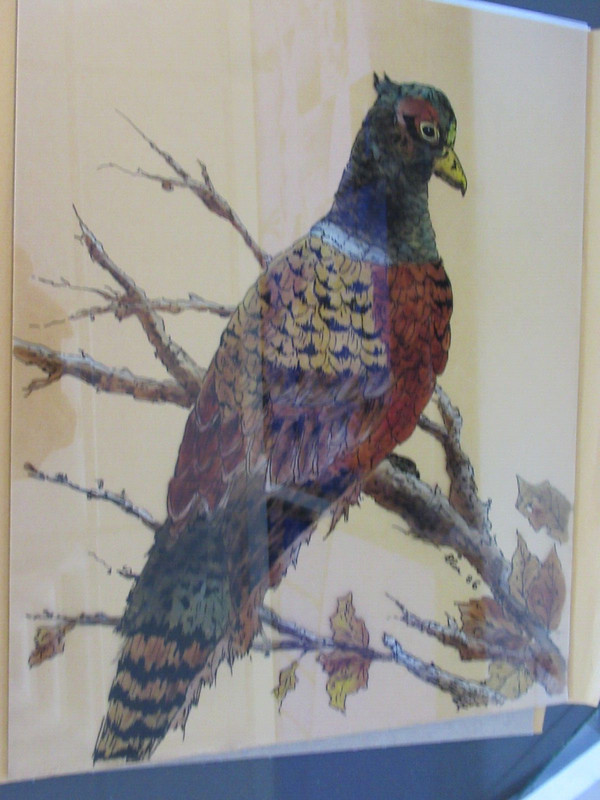 Reverse Painting on Glass Bird/Pheasant in Tree, Unframed Signed Elsa 86